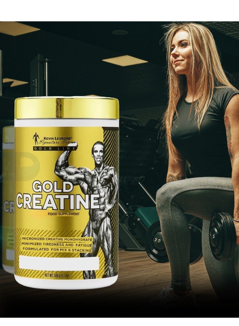 Kevin Levrone Gold Creatine Monohydrate Micronized 100 Servings 500 Grams, Unflavoured